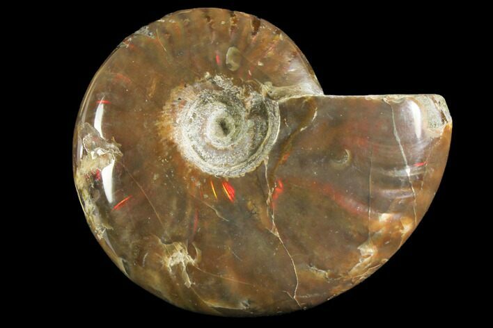 Red Flash Ammonite Fossil - Madagascar #151788
